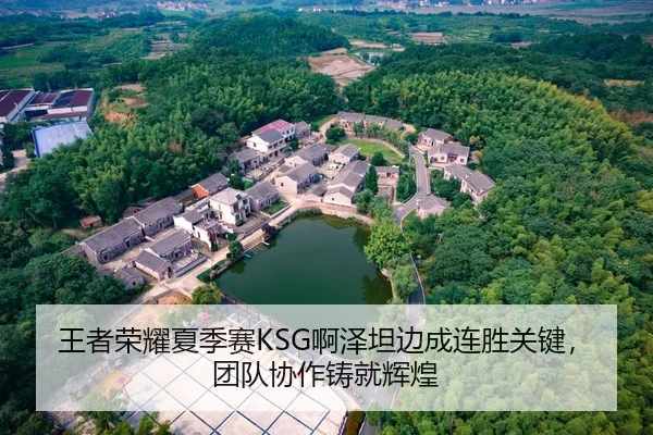 王者荣耀夏季赛KSG啊泽坦边成连胜关键，团队协作铸就辉煌
