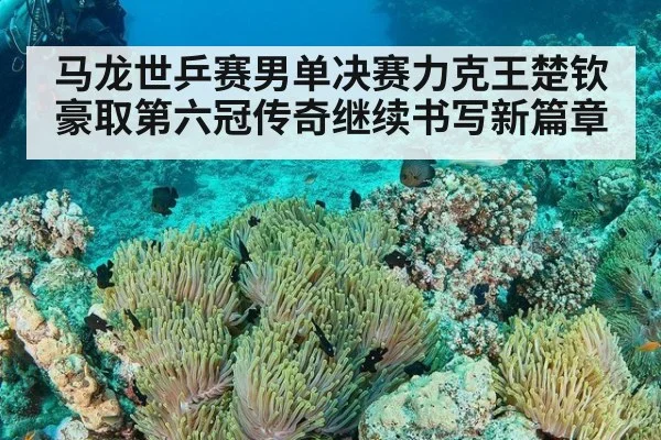 马龙世乒赛男单决赛力克王楚钦豪取第六冠传奇继续书写新篇章
